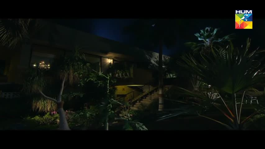 Yakeen Ka Safar Episode 14 HUM TV Drama - 19 July 2017