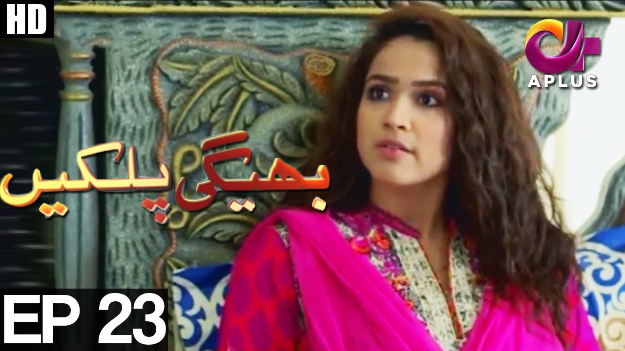 Bheegi Palkein - Episode 23 | A Plus ᴴᴰ Drama | Faisal Qureshi, Affan Waheed, Ushna Shah