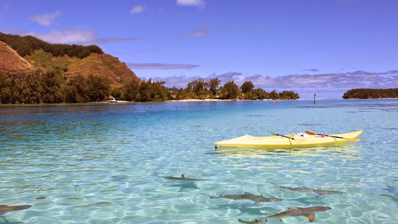 Alif Allah Aur Insaan Episode 8 Full HUM TV Drama - 13 June 2017