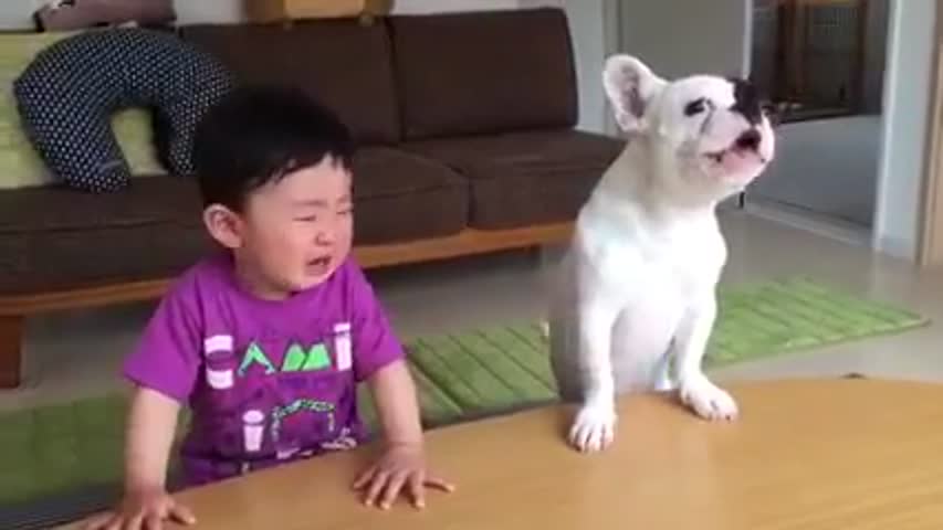 Whatsapp funny videos 2016