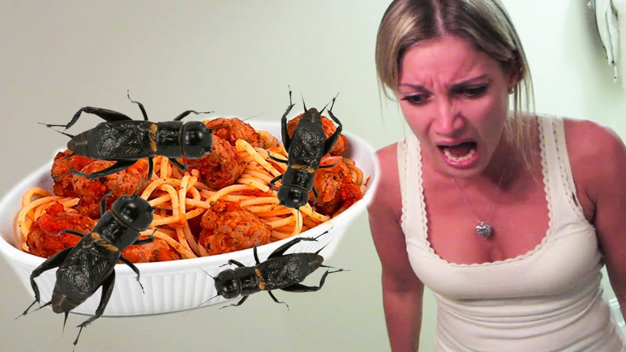 SPAGHETTI AND MEAT BUGS PRANK