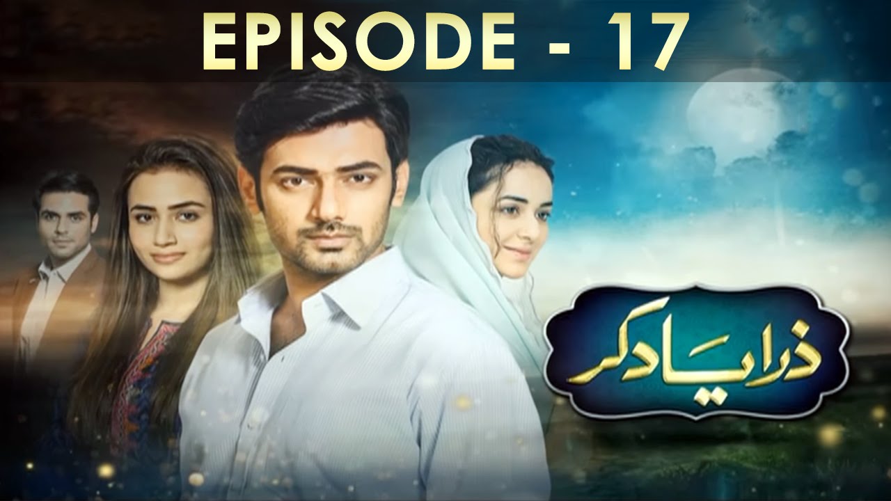 Zara Yaad Kar Episode 17 Hum TV Drama 5 July 2016