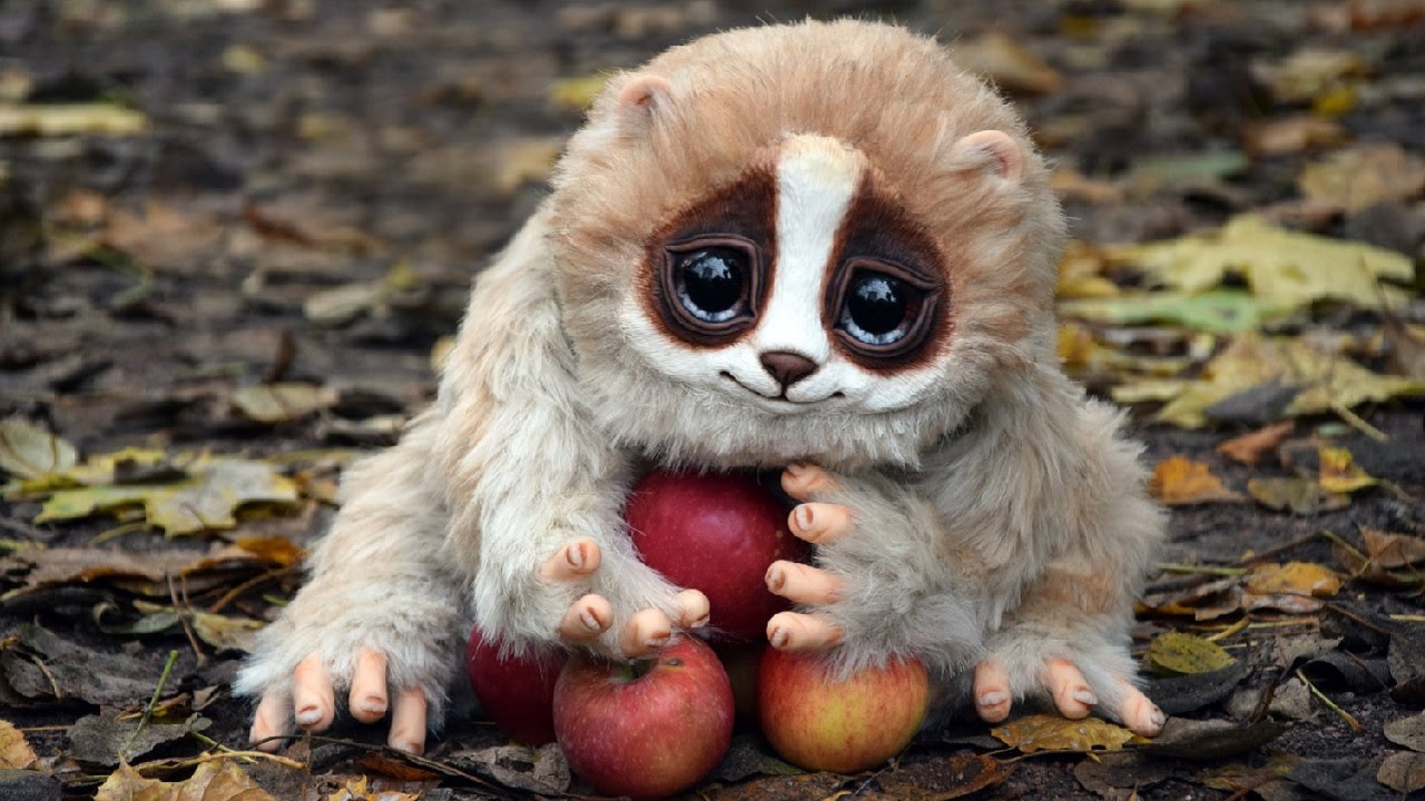 CUTE Animals That Can KILL You