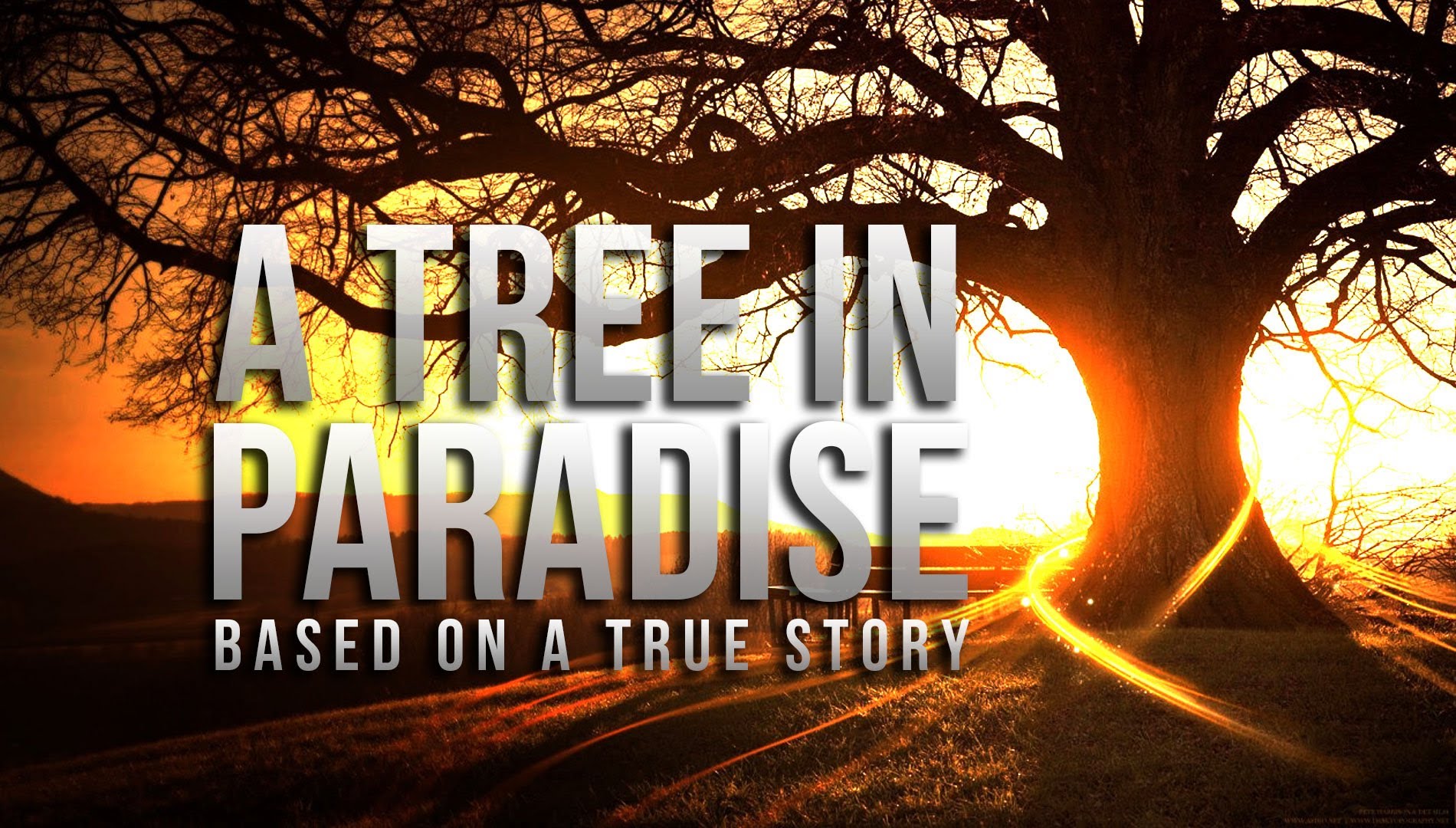 A Tree In Paradise - True Story - Merciful Servant Videos