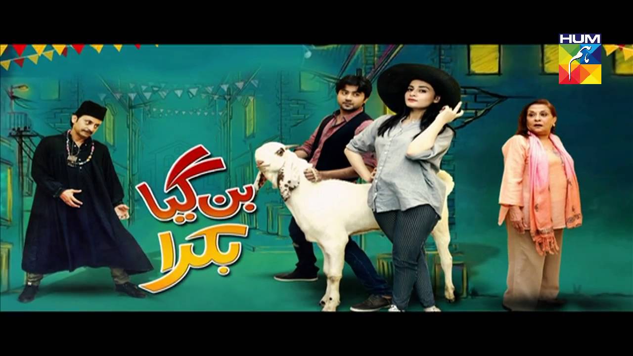 Ban gaya bakra Eid day 1 telefilm HUM TV Drama