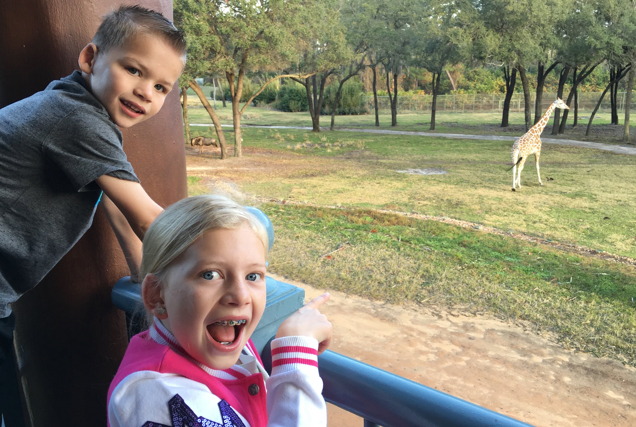 GIRAFFES BY OUR BALCONY!! || Mommy Monday