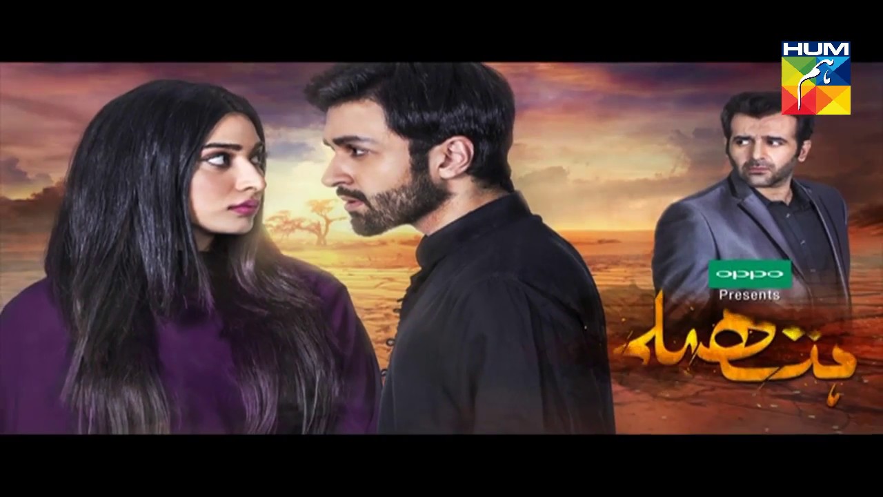 Hatheli Episode 10 Full HD HUM TV Drama 9 November 2016