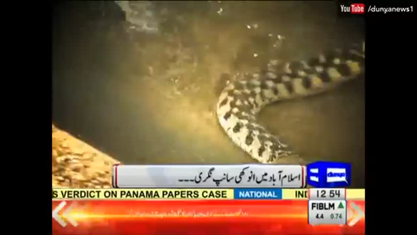 This dangerous snake man could  destroy Imran Khan Islamabad Lock down Plan | Dunya News