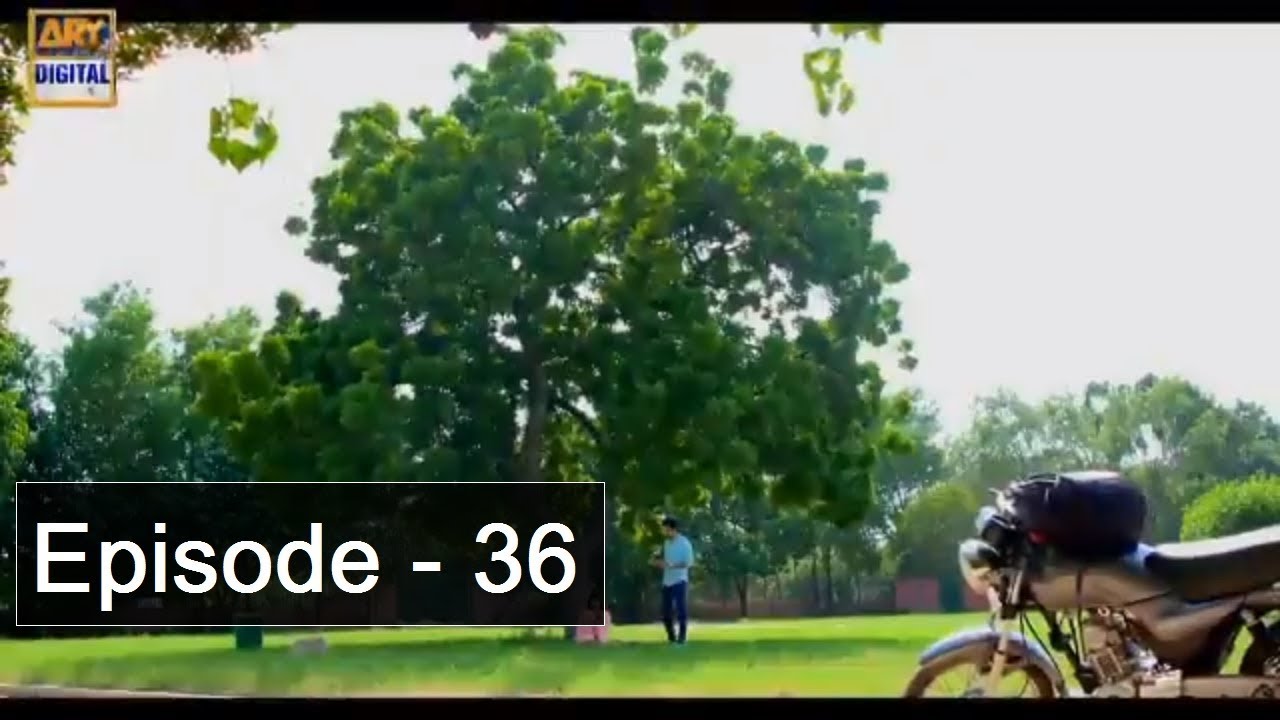 Aangan Episode 36 ARY Digital Drama