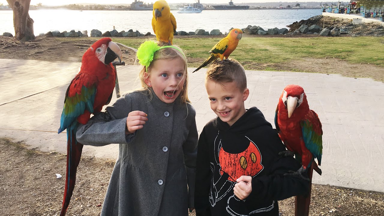 Holding Parrots on a Fun Family Outing || Mommy Monday