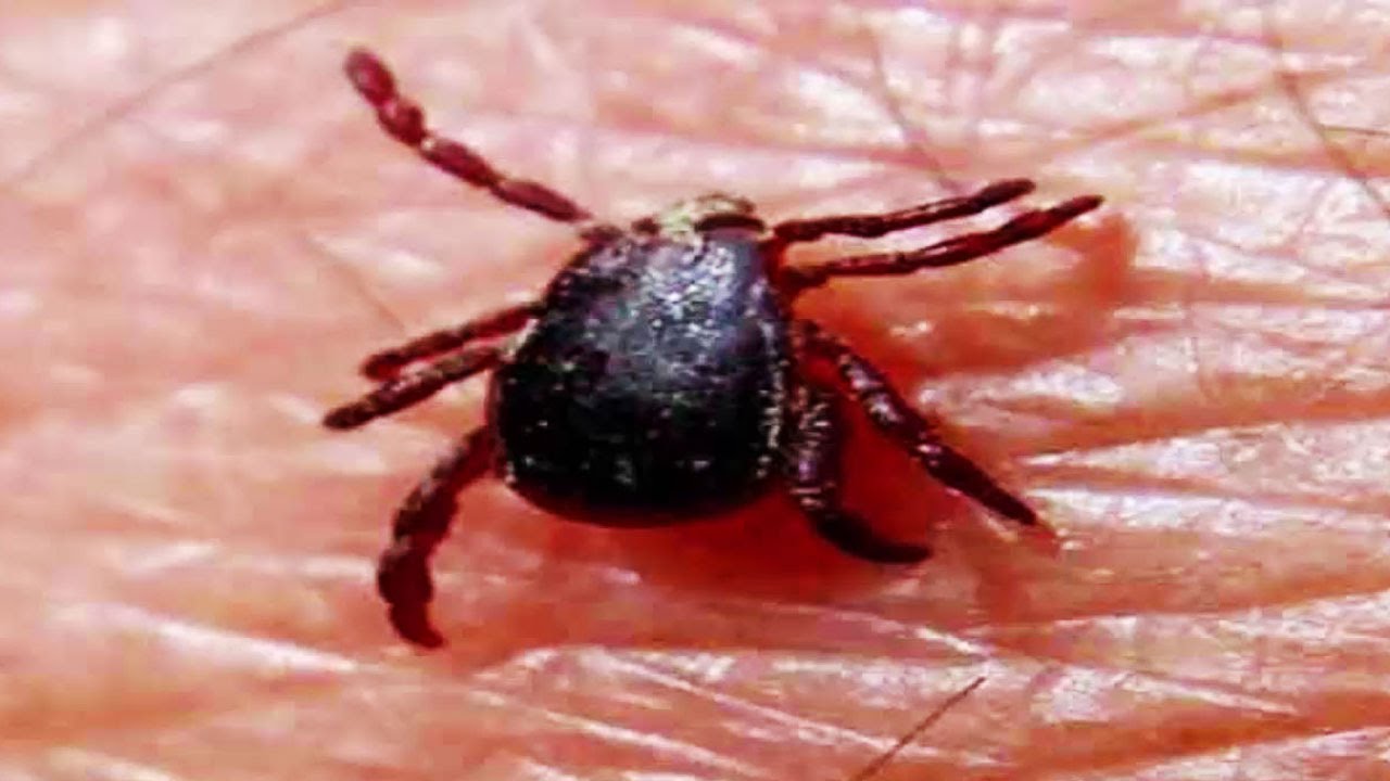 Geo News Headlines 9 PM - 21 August 2016