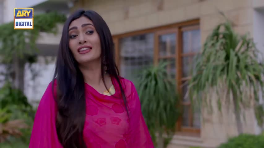 Dilli Walay Dularay Babu Ep 09 - 22nd October 2016 - ARY Digital Drama