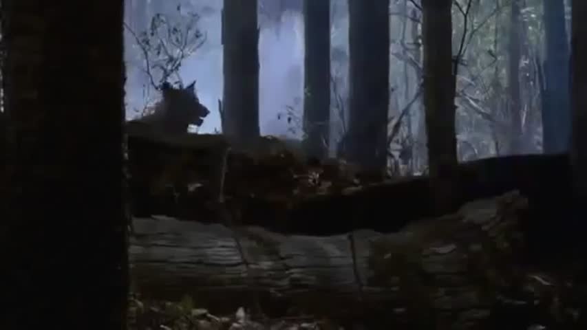 Beastmaster Season 2 Episode 13   Wild Child