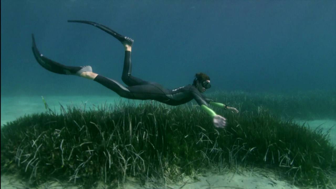 CRESSI 70th ANNIVERSARY, by Guillaume Néry