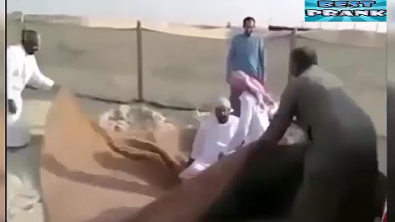 Funny videos 2016 - Best funny fails ever - Try not to laugh