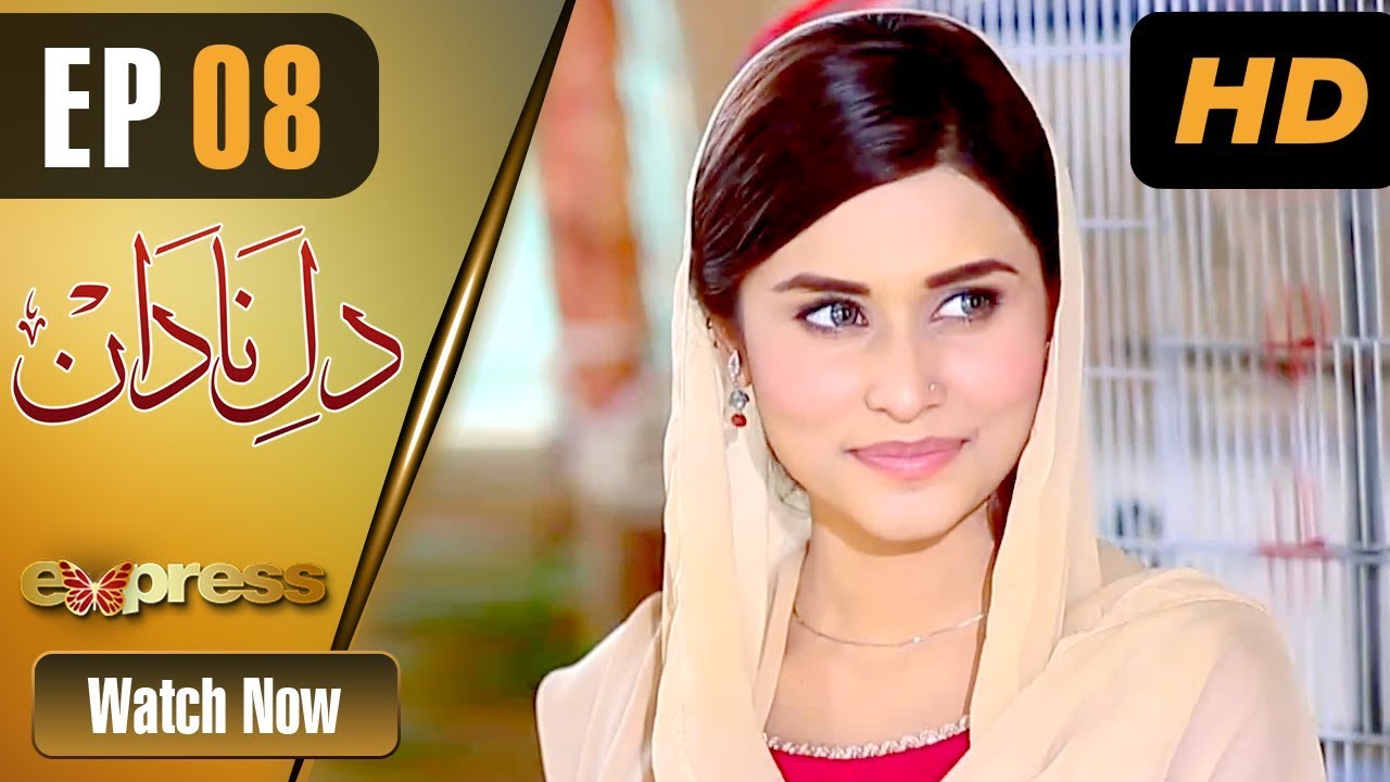 Dil e Nadaan- Episode 8