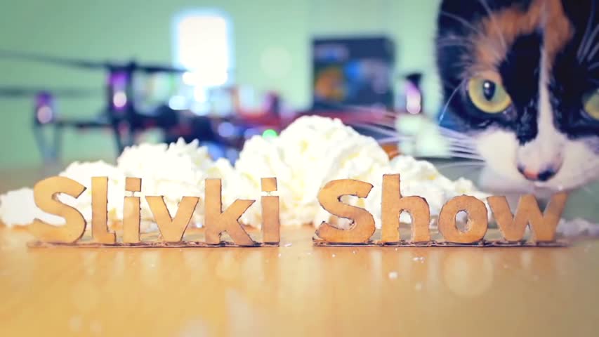 HOW TO MAKE AN ETERNAL TERRARIUM