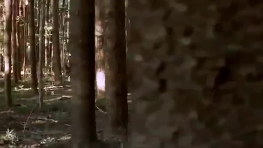 Beastmaster Season 1 Episode 7   The Umpatra 