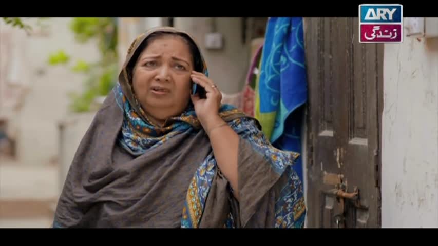 Haal-e-Dil Ep 46 - ARY Zindagi Drama