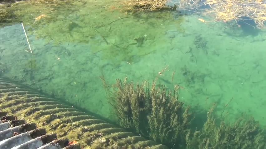 Super Secret Fishing Spot