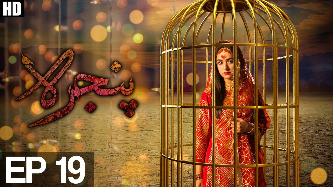 Pinjra - Episode 19 | Aplus ᴴᴰ