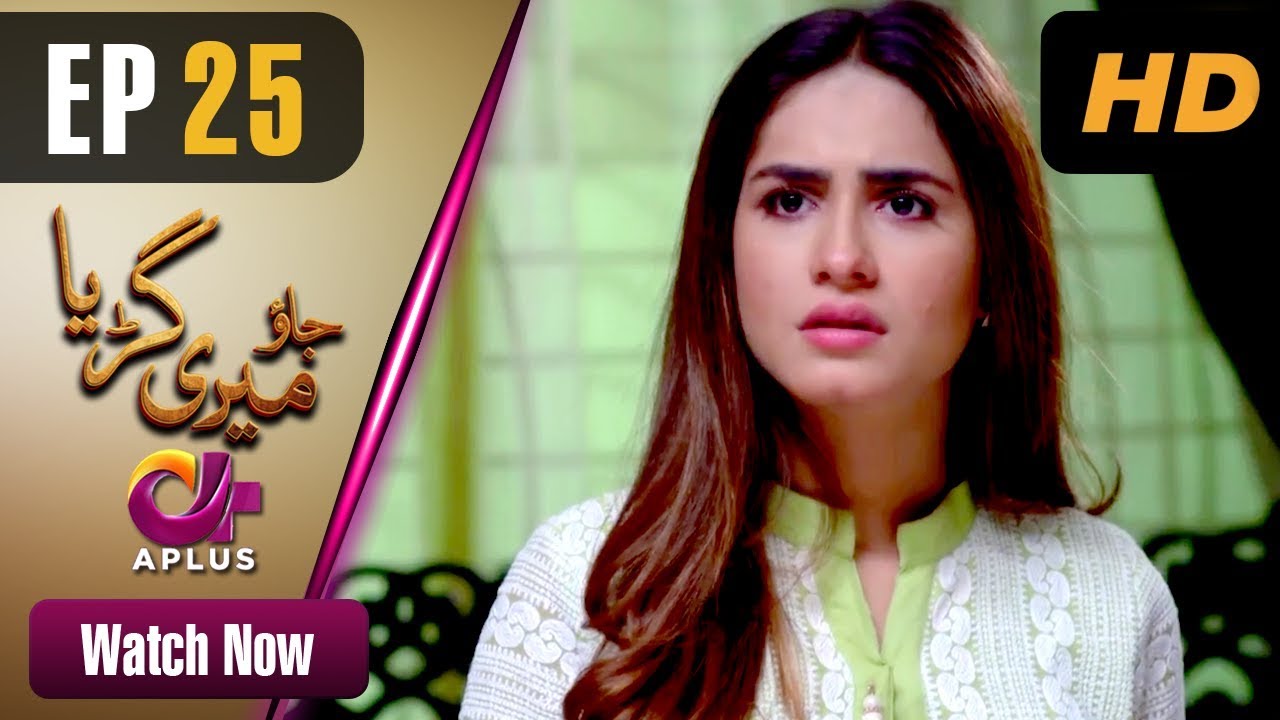 Jao Meri Guriya - Episode 25