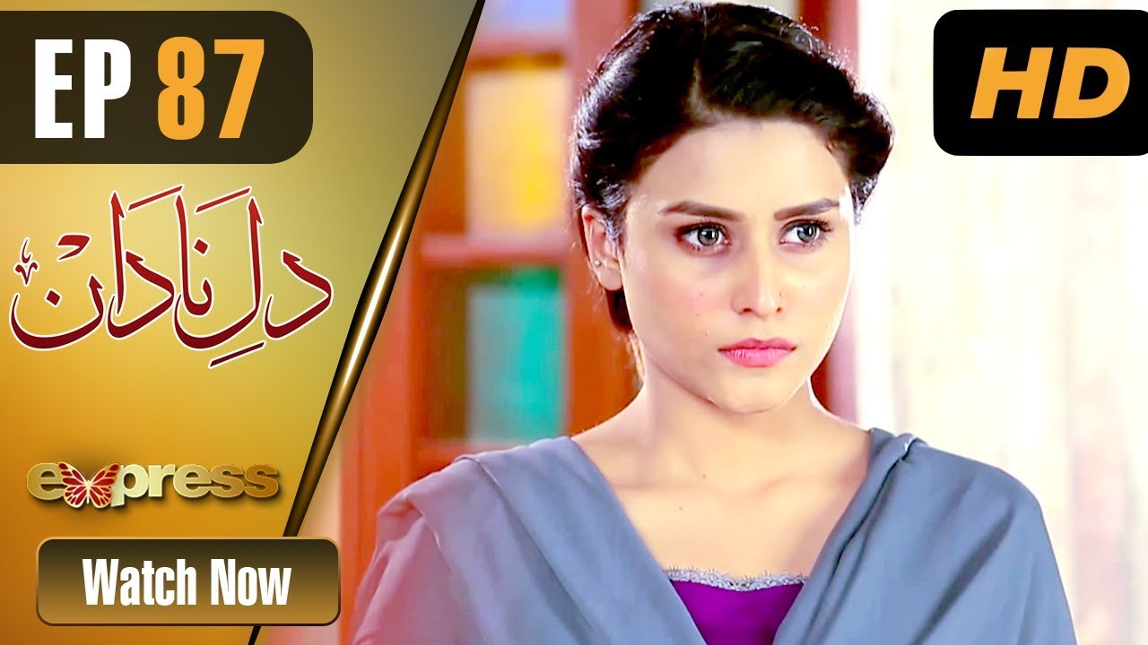 Dil e Nadaan - Episode 87