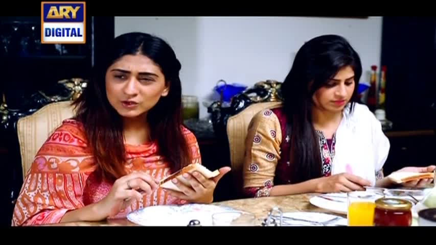 Bandhan Ep 27 - ARY Digital Drama