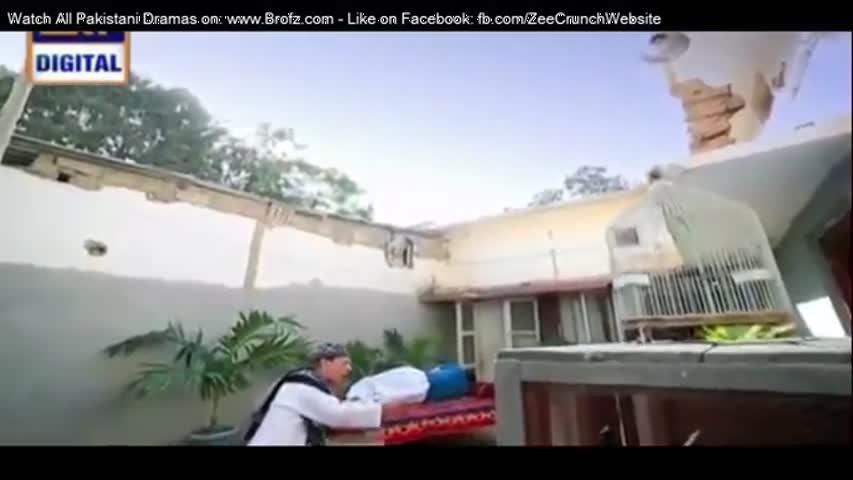 Shehzada Saleem Episode 1 - ARY Digital - Webisode