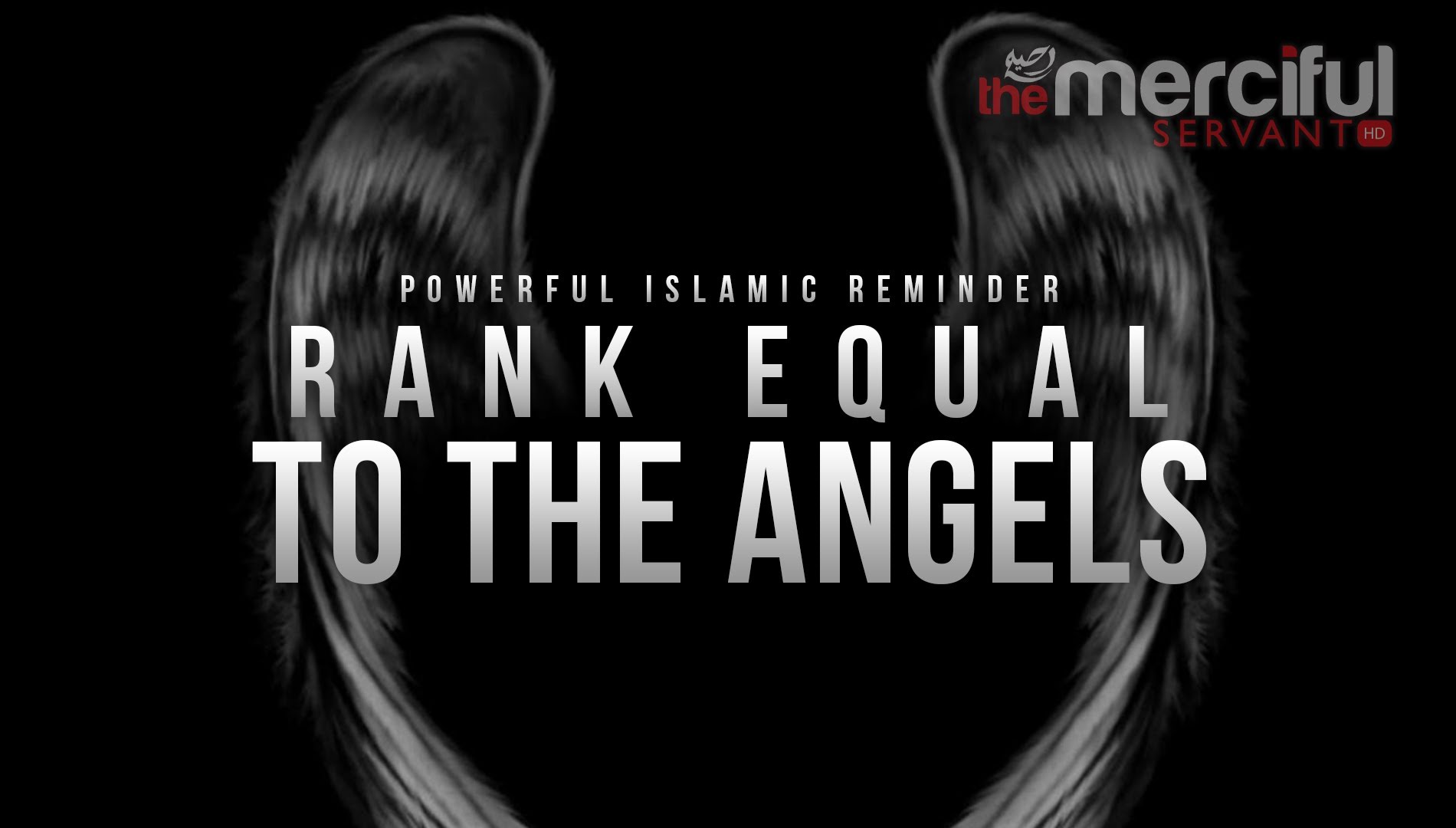 Equal To The Angels - Islamic Reminder