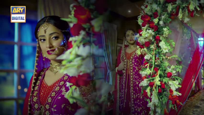 Shiza Ep 30 - 28th October 2017 - ARY Digital Drama