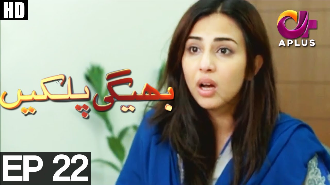 Bheegi Palkein - Episode 22 | A Plus ᴴᴰ Drama | Faisal Qureshi, Affan Waheed, Ushna Shah