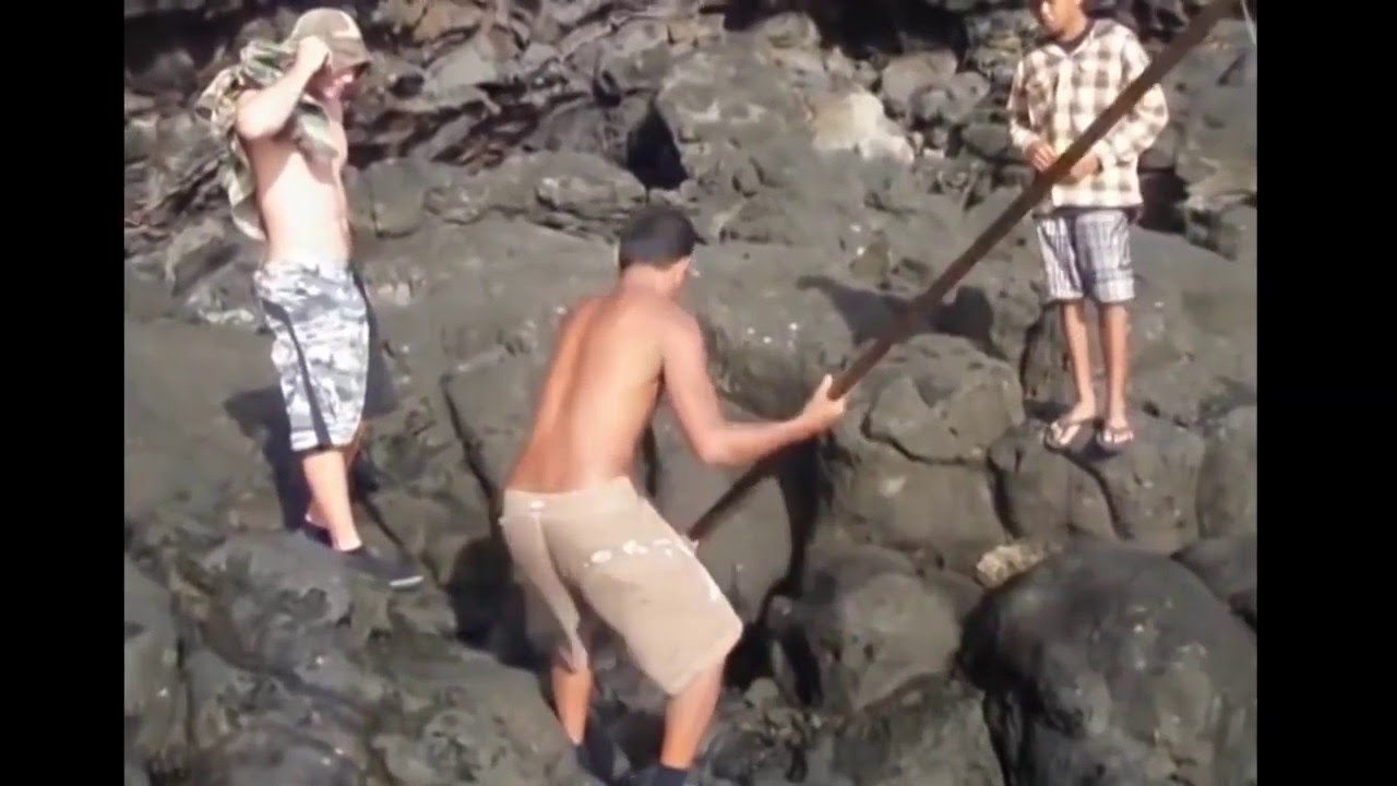 Big Catch fish easy!