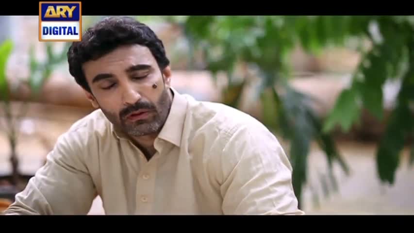 Shehzada Saleem Ep 113 - 25th August 2016 - ARY Digital Drama