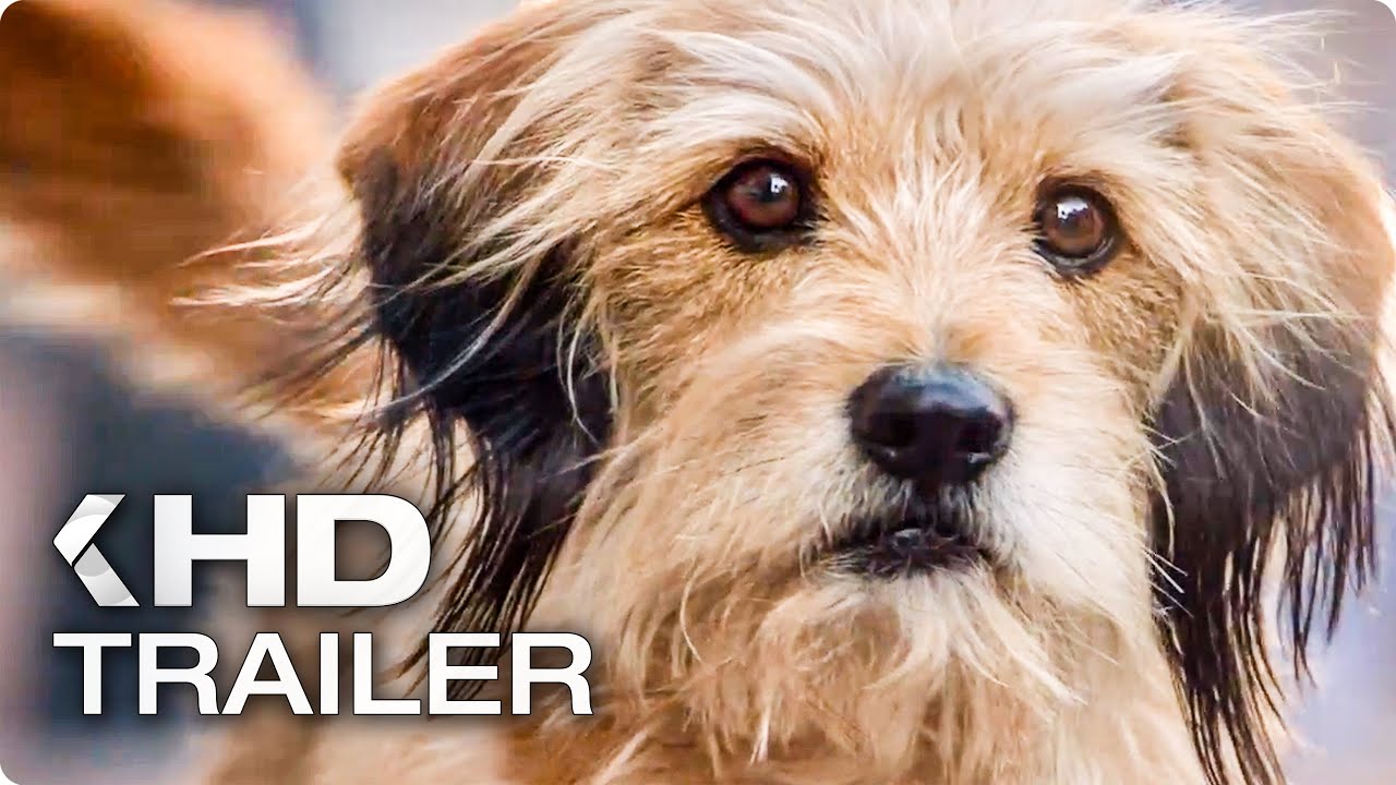 BENJI Trailer (2018)