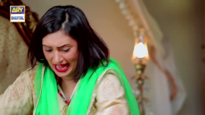 Dilli Walay Dularay Babu Ep 52 - 23rd September 2017 - ARY Digital Drama