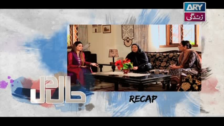 Haal-e-Dil Ep 43 - ARY Zindagi Drama