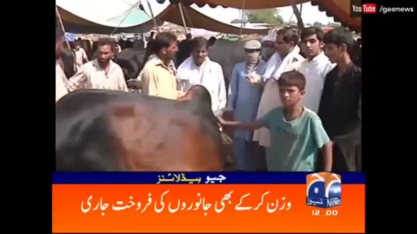 Geo News Headlines - 12:00 PM | 4 September 2016