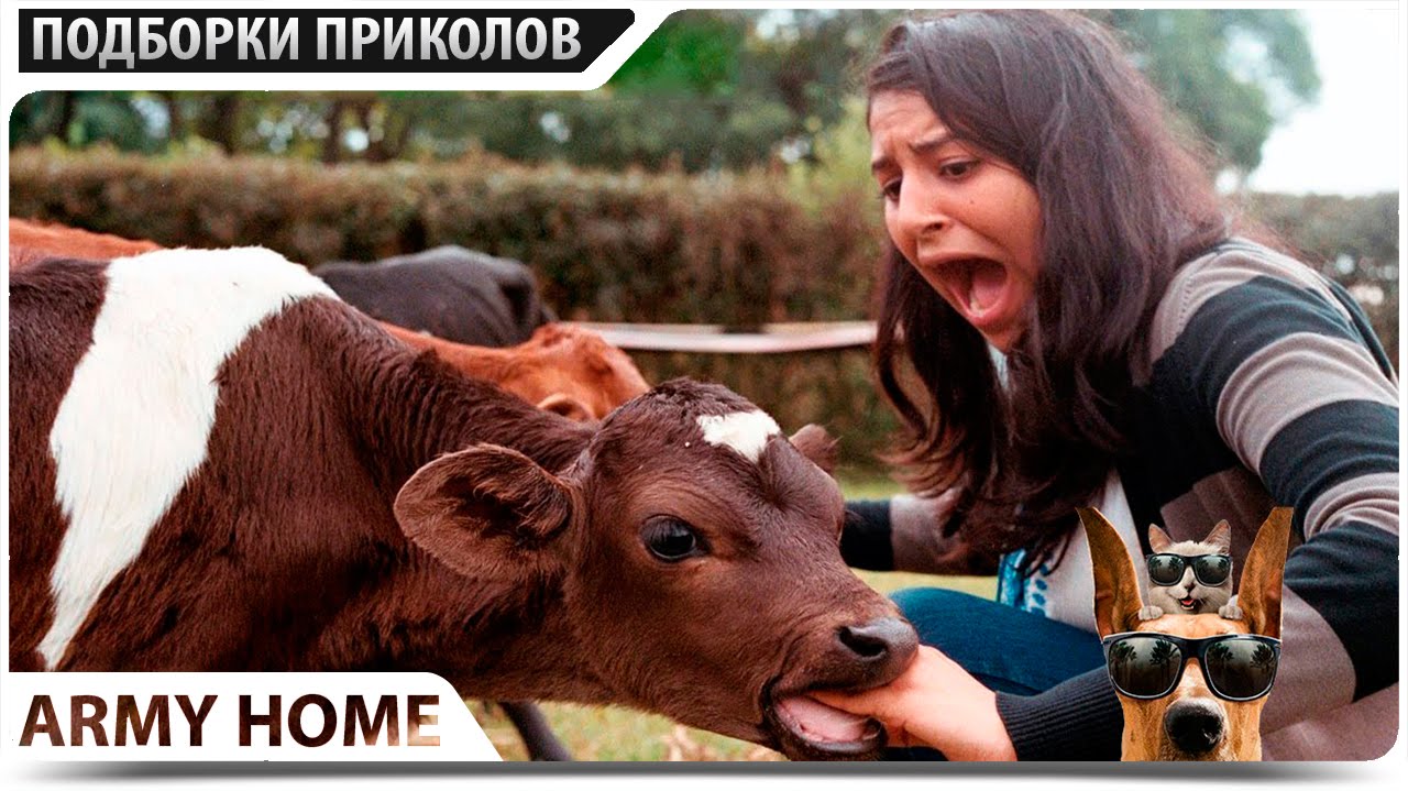 We Love Fails 2016 - Best Fail Compilation