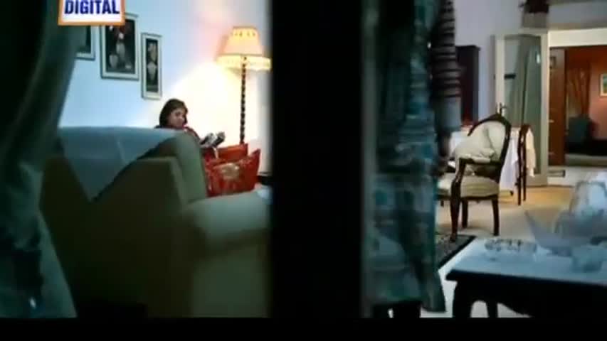 Shahzada Saleem Episode 19 Arydigital Tv