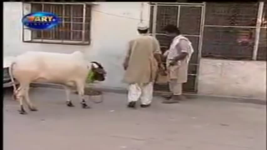 Pakistani a Funny video rel page 2 rel page 2