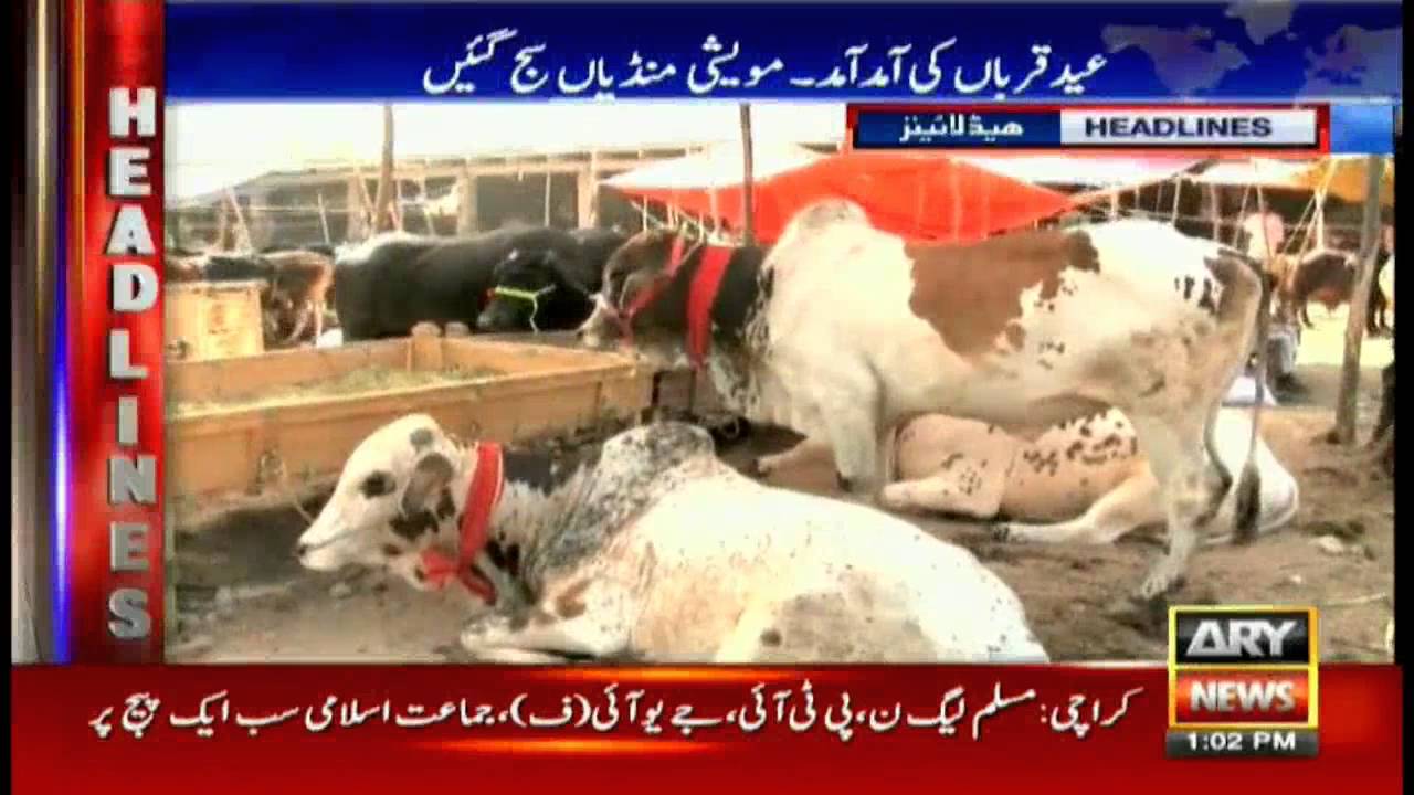 Headlines 1300 – 21st August 2016