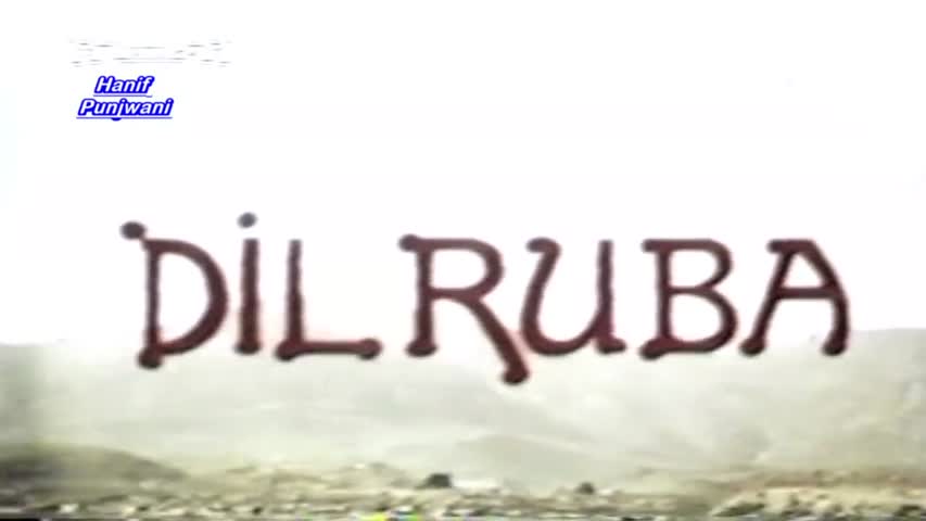 Dilruba Full Pakistani Movie 