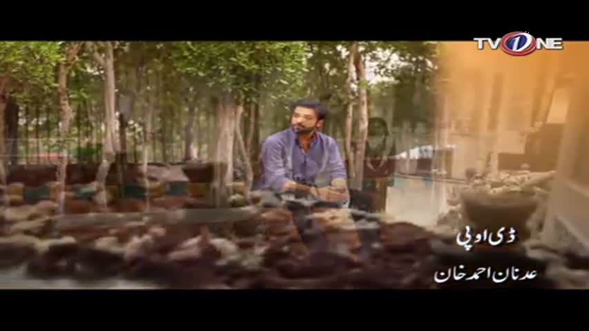 Parizad Ep 14 27th December 2016