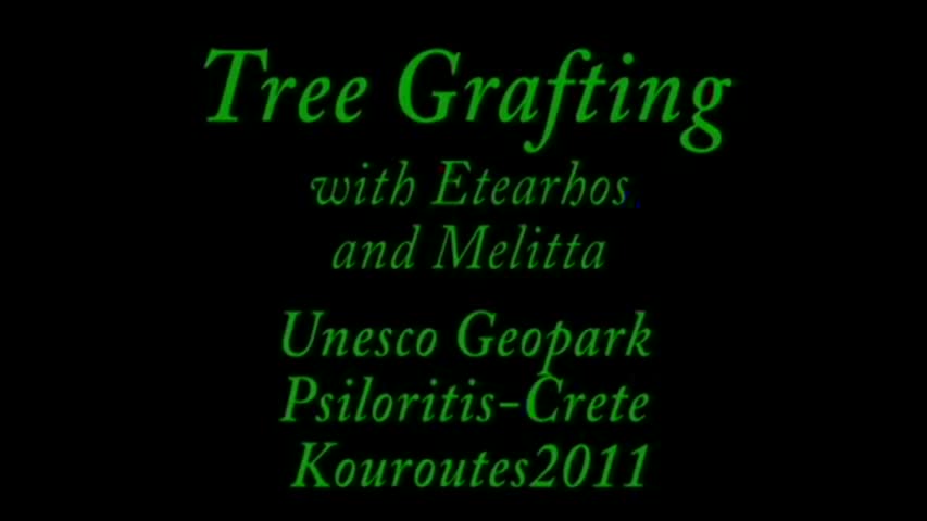 HOW TO GRAFT FRUIT TREES on Krete: pear almond lemon citrus trees