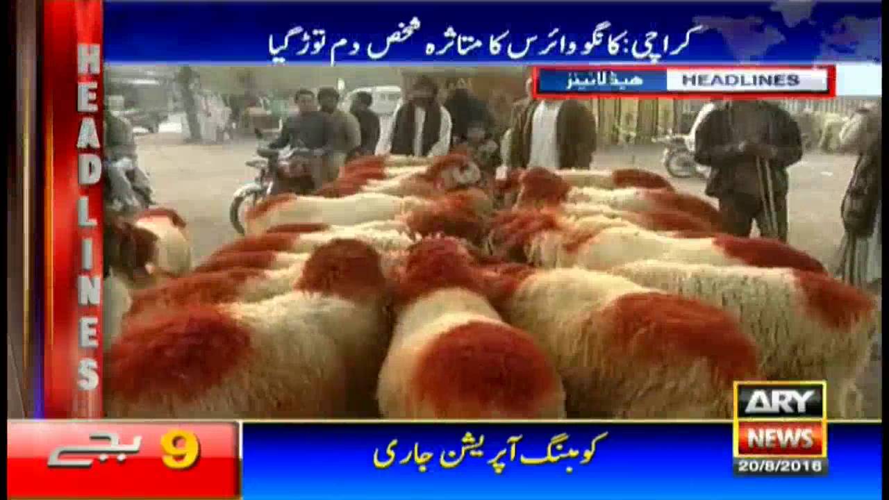 Headlines 2100 – 20th August 2016