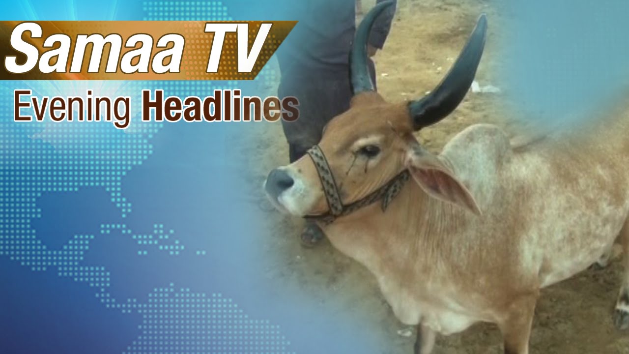 Evening Headlines | 6 PM | 31 Aug 2016