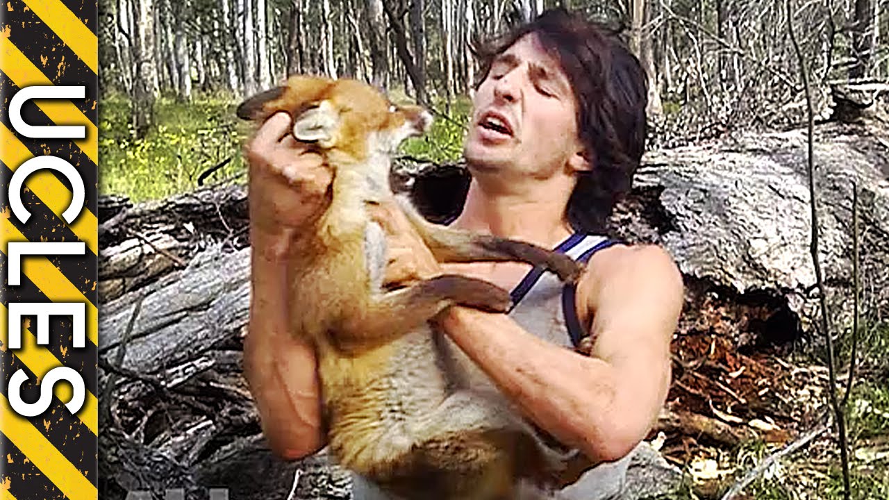 Fox captured barehanded