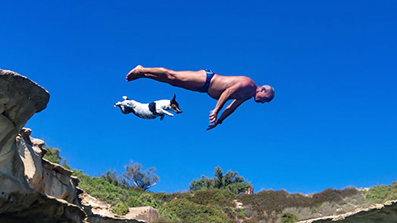 Diving Dog: Pet Jack Russell ‘Titti’ Jumps From Rocks With Her Owner