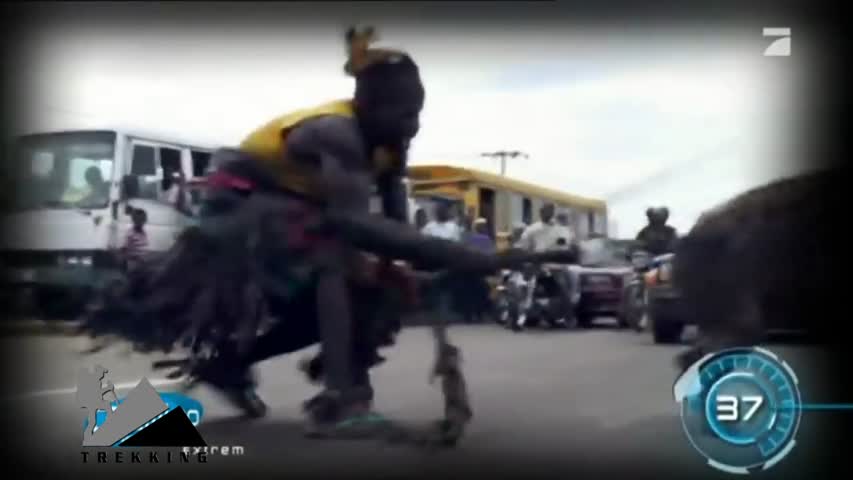 Khi Linh Cẩu thành Thú nuôi